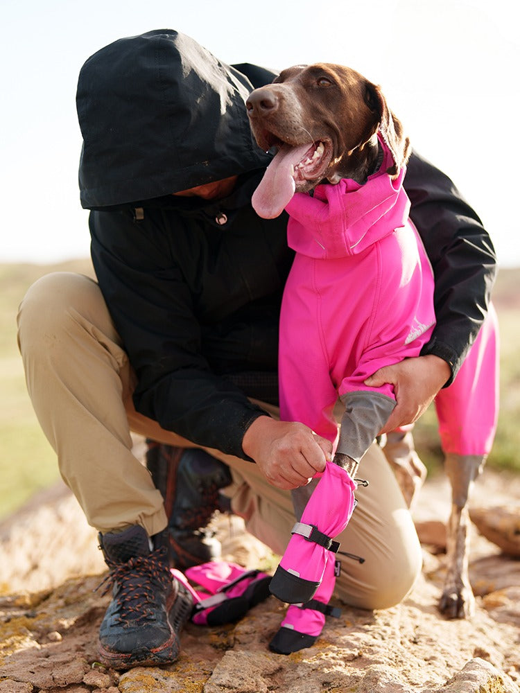 Keep Your Dog’s Paws Safe with Scappo Outdoor Dog Boots 🐾