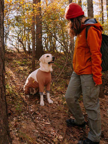 Adventuring Together: A Girl, Her Dog, and the Joy of Hiking 🐕🍂⛰️