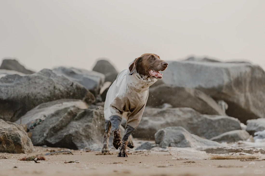 Keep Your Dog Dry and Protected with the Storm-Guard Raincoat 🌧️🐾