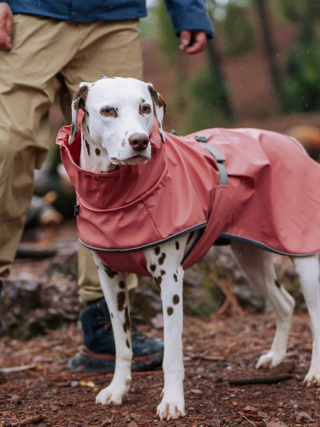 Top-Quality Waterproof Dog Jacket for Outdoor Adventures 🐾