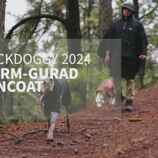 The Cumbrian Softshell Dog Jacket is a premium outdoor coat designed to protect your pet from wind, rain, and cold. Made with multi-layer stretch fabric, it offers waterproof and windproof features, an adjustable fit, and 3M reflective piping for safety. Ideal for all-weather outdoor activities.