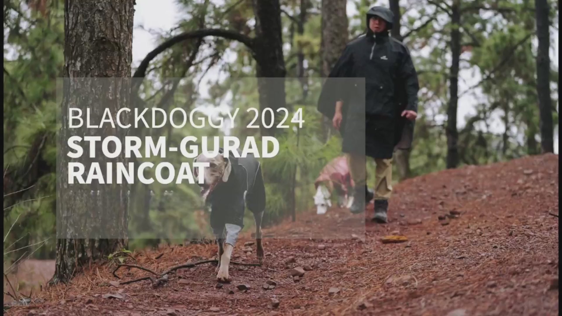 The Cumbrian Softshell Dog Jacket is a premium outdoor coat designed to protect your pet from wind, rain, and cold. Made with multi-layer stretch fabric, it offers waterproof and windproof features, an adjustable fit, and 3M reflective piping for safety. Ideal for all-weather outdoor activities.